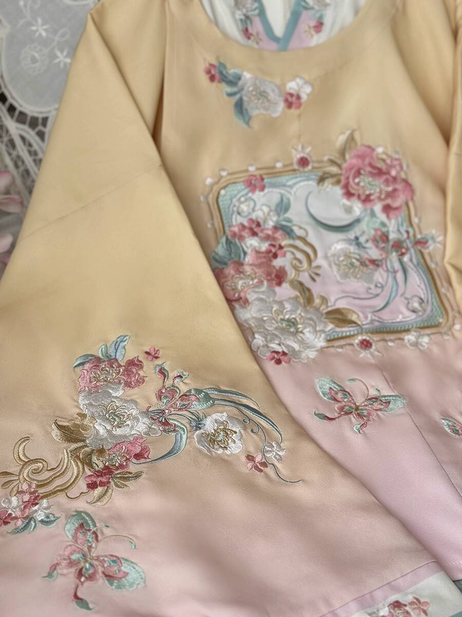 New Hanfu Women Ming System Ro - Embroidery Skirt recension och pris