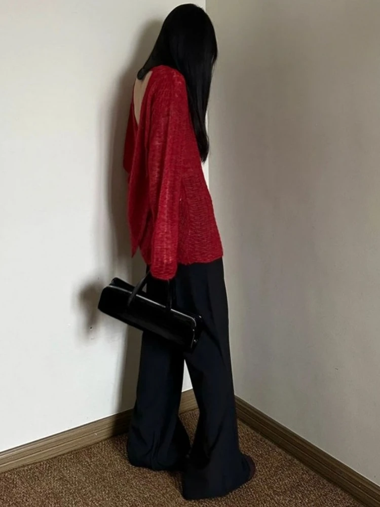 Y2K See-Through Knitted Women' - Embroidery Shirt recension och pris